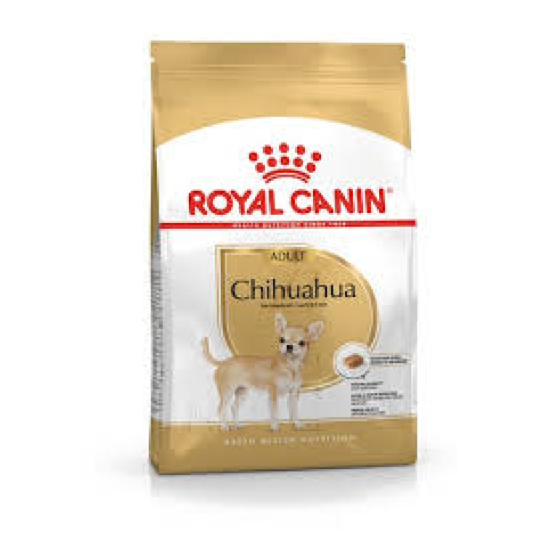 CHIHUAHUA ADULTO 1,5KG