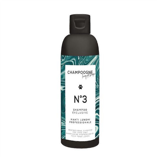 CHAMPOOGNE N°3