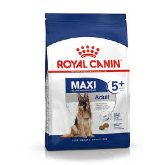 MAXI ADULTO 5+ 4KG