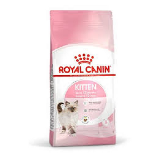 KITTEN 12 MESI 2KG
