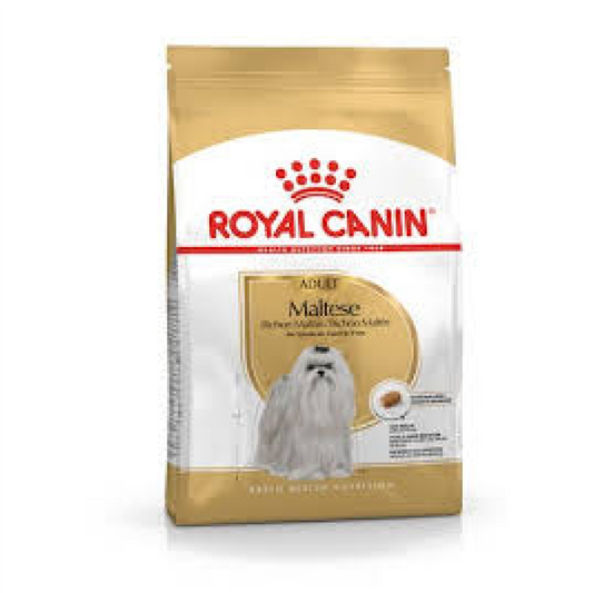 MALTESE ADULTO 1,5KG
