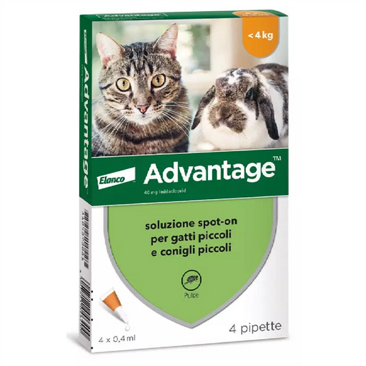 GATTI E CONIGLI SOTTO 4KG
