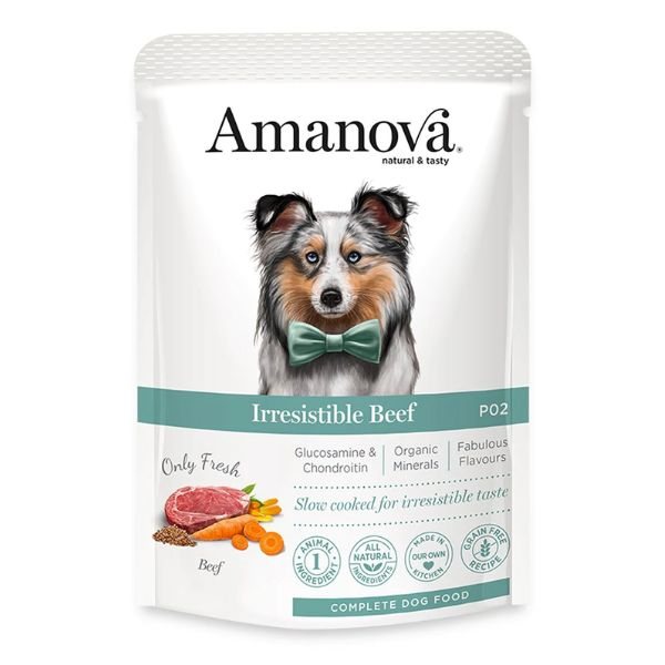 ADULTO 100GR IRRESISTIBLE BEEF
