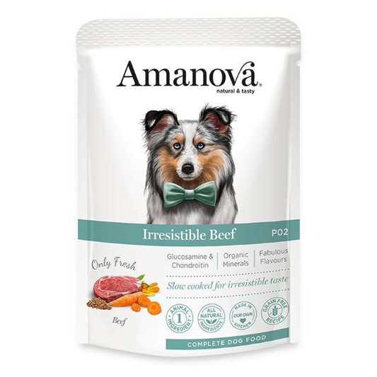 ADULTO 100GR IRRESISTIBLE BEEF
