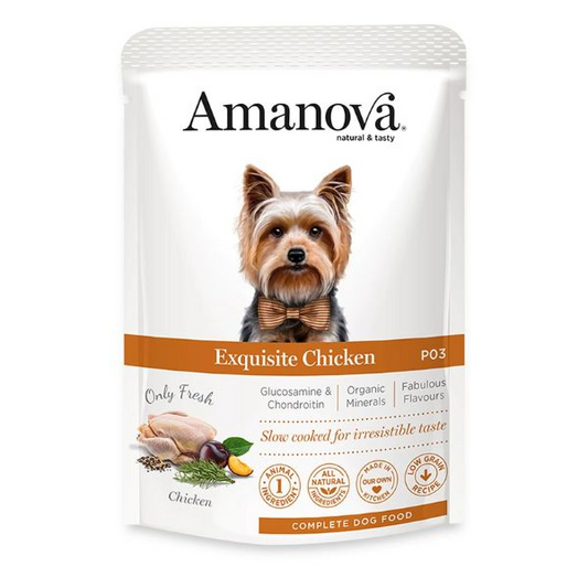 ADULTO 100GR POLLO